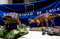 Reproduction du dinosaure, présentée par les équipes de l'université du Chili, à Santiago, le 1 décembre 2021