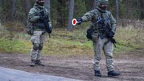 Lituânia vai apertar controlo na fronteira com a Polónia
