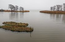 Floating wetlands help combat nutrient pollution in Baltic lagoons