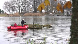 Floating wetlands:  an ecological way of overcoming nutrient pollution