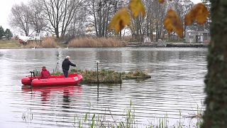 LiveLagoons, alternativa natural y más barata que las plantas de tratamiento de aguas residuales  