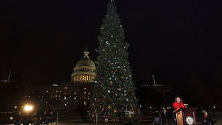 Árbol de Navidad del Capitolio