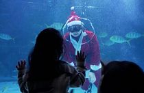 Ένας... Άγιος Βασίλης ανάμεσα στα ψάρια ενυδρείου της Σεούλ