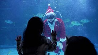 Ένας... Άγιος Βασίλης ανάμεσα στα ψάρια ενυδρείου της Σεούλ