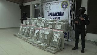 Panama seizes record €9 million of drug money