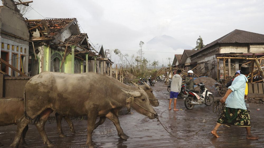 at-least-13-dead-and-scores-injured-in-indonesia-volcanic-eruption