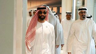 مشاور امنیت ملی امارات عربی متحده