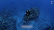 Un plongeur explore les fonds des îles Selvagens