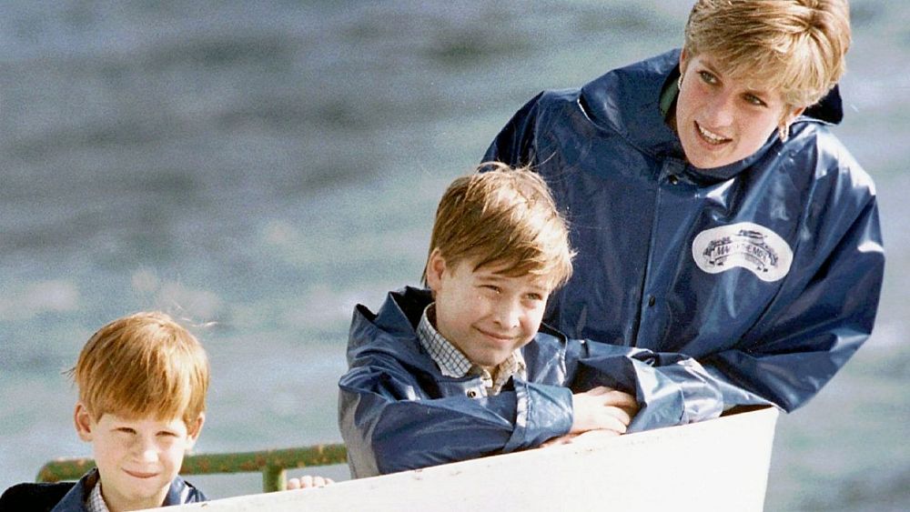 prince-william-reveals-why-tina-turner-reminds-him-of-his-mother-diana