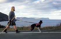 Michael Yellowlees, of Scotland, and his husky Luna walk the road to Cape Spear in Newfoundland and Labrador on Sunday, Dec. 5, 2021.