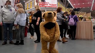 Teddy bears at exhibition "Hello Teddy!"
