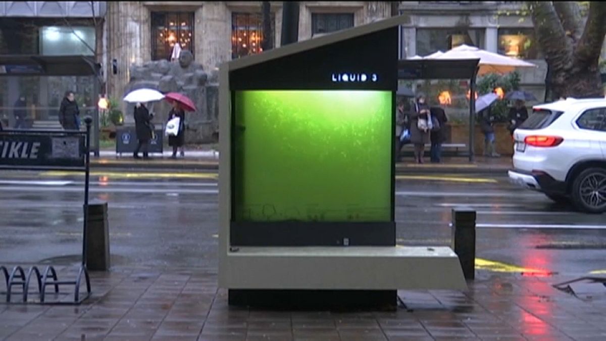 Em Belgrado as micro-algas ajudam a manter o ar mais limpo