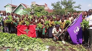 DRC: Children take up agriculture
