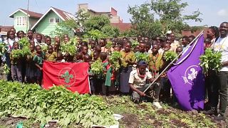 RDC : la formation agricole pour enfants du programme Mazingira Bora