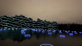 Animation lumineuse au parc de la Tête d’Or (Lyon, France), pour la "fête des lumières 2021" / Photo : Andrea Büring, Euronews