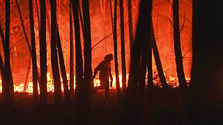 Fresh wildfires rip through woods near Oleiros, Portugal in September this year