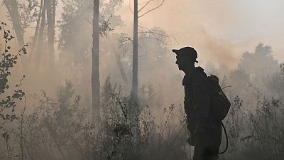 A specialist from the Russian Federal Agency for Forestry works to put out a forest fire outside a village in the Omsk Region.