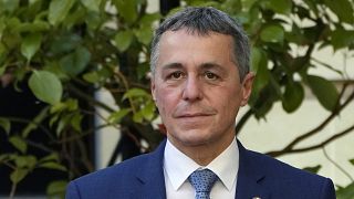 Swiss Foreign Affairs Minister Ignazio Cassis pictured at a press conference in Paris in November.