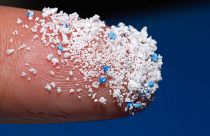 Microplastics are so tiny they can get into our bodies without us knowing - and wreak havoc.