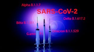  shows a syringe and a screen displaying the SARS-Cov-2 mains variants : Alpha, Beta, Delta, Gamma and Omicron, in Toulouse