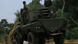 Ugandan, Congolese forces continue offensive operations in eastern DRC