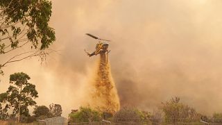 Gewaltiger Buschbrand in Westaustralien