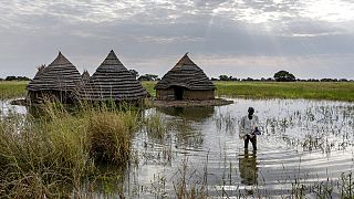 Soudan du Sud : près de 70% du pays touché par des inondations