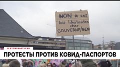 Ознакомьтесь с главными новостями сегодня | 12 декабрь — Дневной эфир