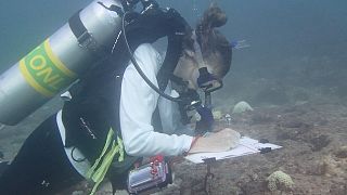 El agua en Catar: buscando la sostenibilidad en un clima desértico