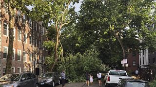 شجرة تغلق الطريق بعد الإعصار في حي ليكفيو شيكاغو، الولايات المتحدة الأمريكية.