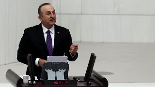 Dışişleri Bakanı Mevlüt Çavuşoğlu, TBMM'de bakanlığının 2022 yılı bütçesi üzerine konuşma yaptı
