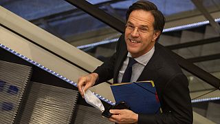 Átfogó reformokat ígér az új holland kormány