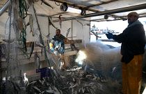 French fishermen sort their catch in the port of Boulogne-sur-Mer, northern France