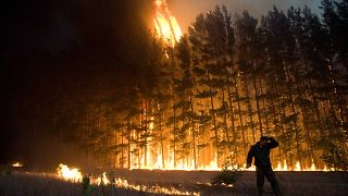 Moskova'nın 180 kilometre güney doğusundaki Ryazan bölgesinde bir orman yangını