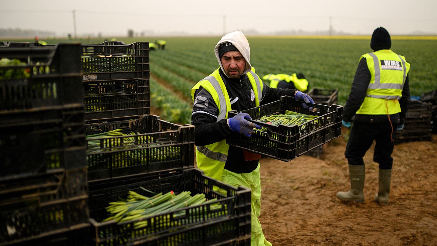 A Year since Brexit: How Bad Are the UK's Labour Shortages Now?