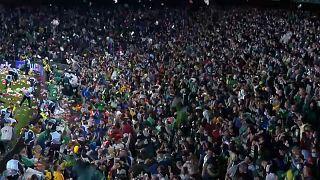 جمهور ريال بيتيس يرمي الدمى المحشوة