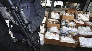 عملیات کشف مواد مخدر در جعبه‌های موز توسط پلیس آلمان
