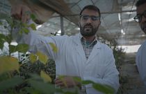 Marocco: ricerca e innovazione tecnologica per sviluppare l'agricoltura