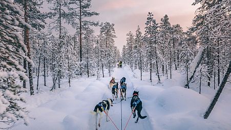 Lapland tourism had almost recovered to pre-pandemic levels.