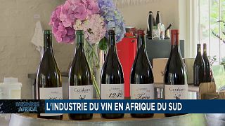 L'industrie du vin en Afrique du Sud [Business Africa]