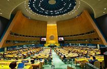 UN General Assembly