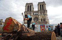 Ácsok dolgoznak a templomnál - Notre-Dame, Párizs, 2020