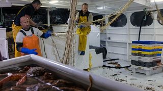 French fishermen empty their boat after a blockade at the port of Saint-Malo, western France, Nov. 26, 2021.