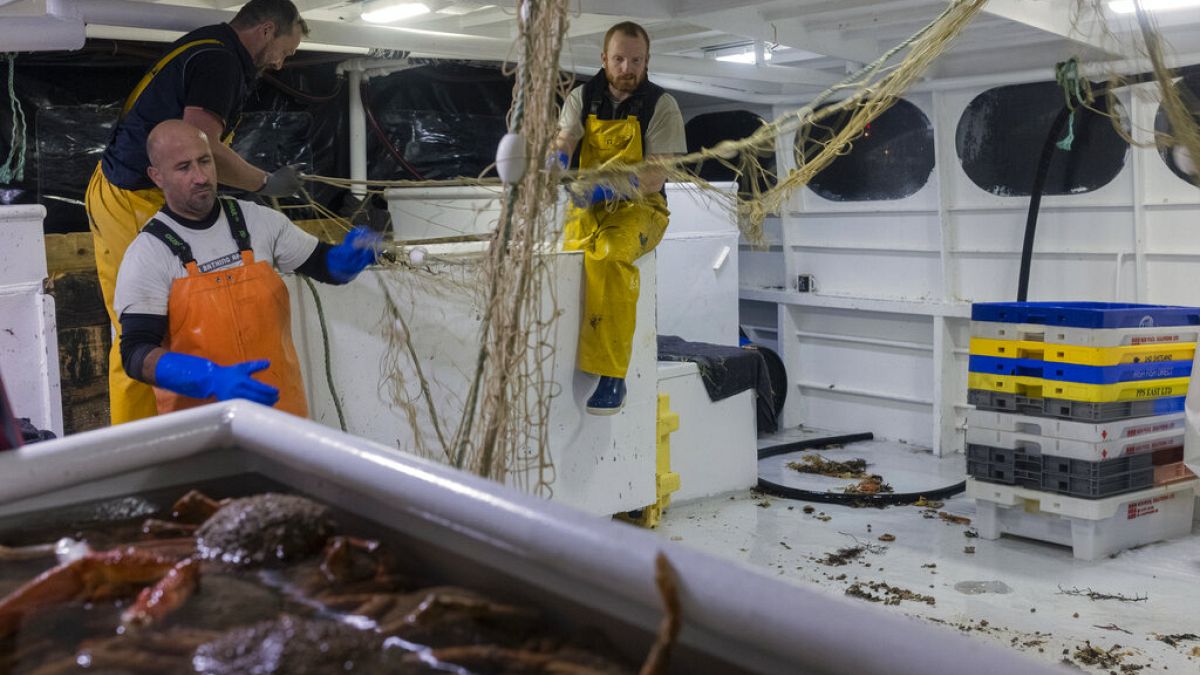 Fischereistreit: Frankreich will Post-Brexit-Verfahren gegen Großbritannien