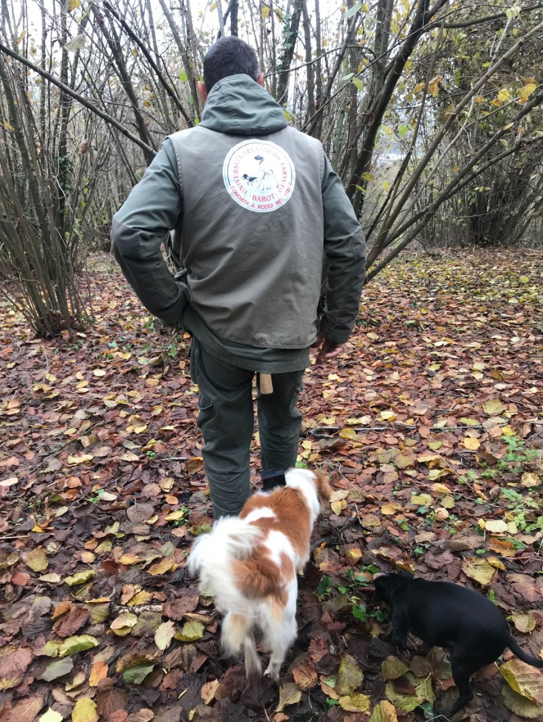 Truffle hunting gets the UNESCO treatment after centuries of knowhow