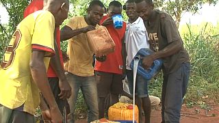 Palm wine benefits economy in the Central African Republic