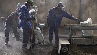 عمال يملأون الأكياس بالأسمدة في مصنع ايليفان فير" (الفيل الأخضر) بالمغرب-9 ديسمبر 2021