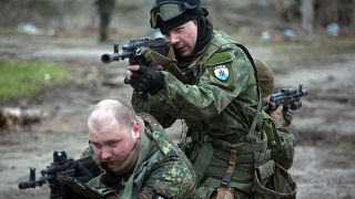 Ukrayna kuvvetleri
