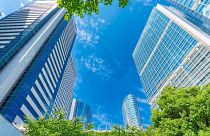 5 tips to avoid greenwashing as a business.
