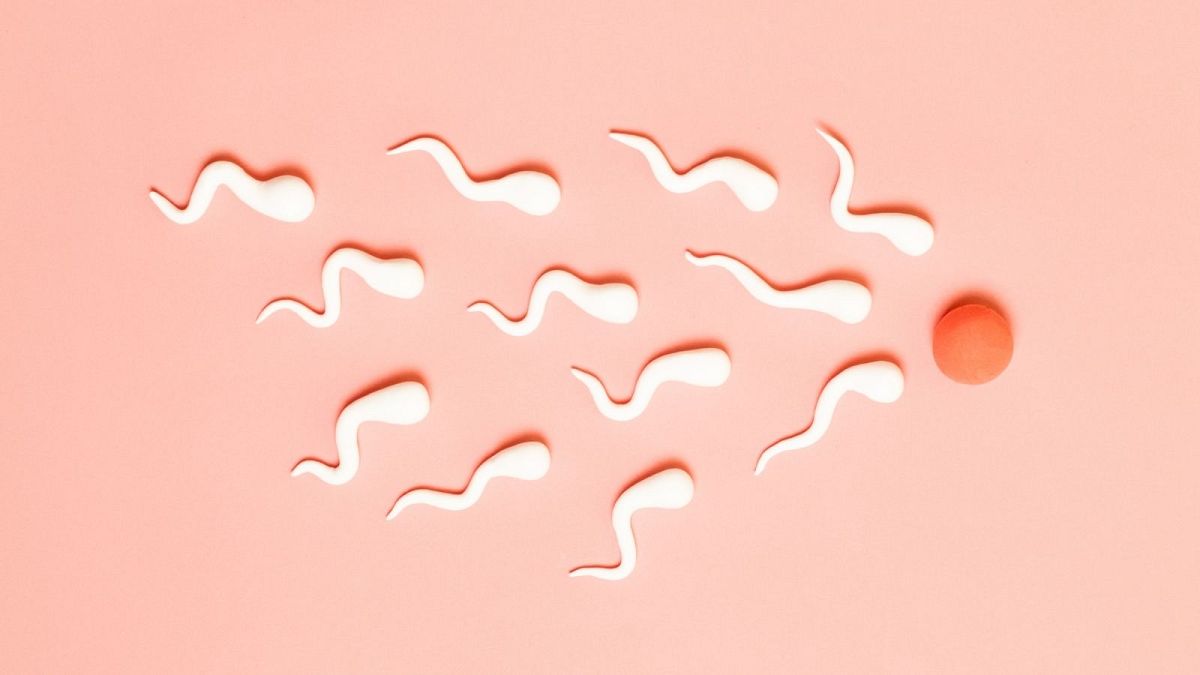 COVID-19 could cause fertility problems by harming the quality of sperm for weeks after recovery from illness, a new study says